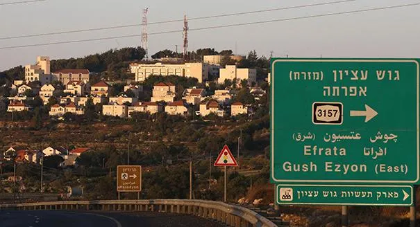 The Forever Allon Plan