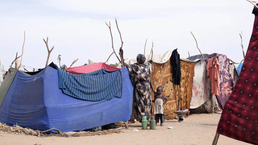 What Is the Extent of Sudan’s Humanitarian Crisis?