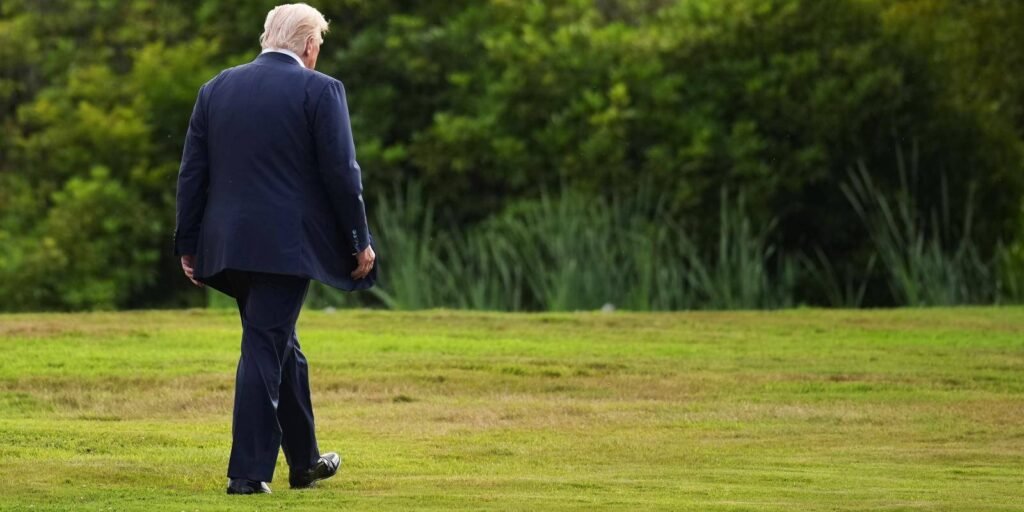 A photograph from behind of Donald Trump walking alone across a vast green lawn toward a line of trees, serving as a visual metaphor for the shifting landscape of the US alliance structure and the strategic lessons of independent foreign policy.