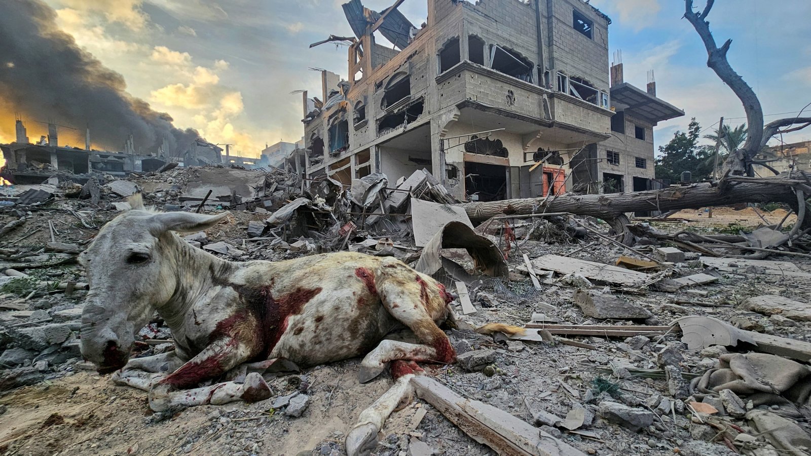 The cycle of violence: From Israel-Palestine to Iran and back 2 0cc1d78c 553d 431d 83ee 0834b57c4281 3