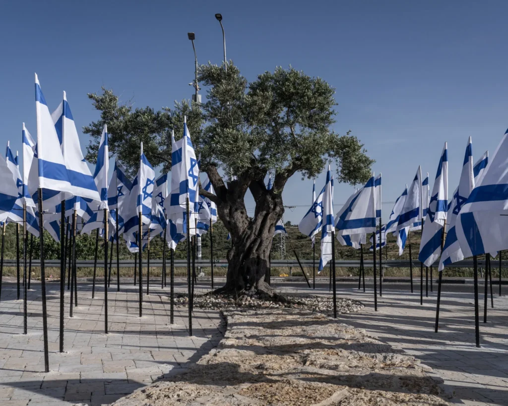 Israeli Expansionism Is Shaking the Middle East A large, mature olive tree stands at the center of an outdoor stone plaza, surrounded by numerous Israeli flags mounted on poles that sway in the wind under a clear blue sky, symbolically capturing the themes behind how Israeli expansionism is reshaping the region.