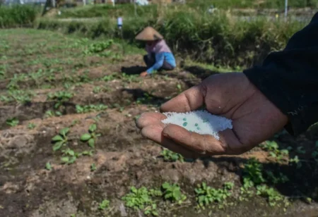 A close-up view of an outstretched hand holding white granulated fertilizer or seeds over agricultural soil, with a farmer in a conical sun hat working in the blurred background field, illustrating agricultural adaptation efforts related to Food Security.