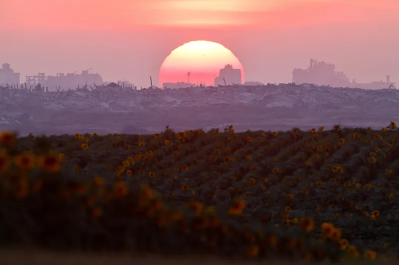 Build a Palestinian State A large red sun sets over the silhouette of damaged buildings and rubble on the horizon behind a dark sunflower field near Kibbutz Nahal Oz, illustrating the border landscape relevant to discussions on a Palestinian State.